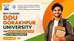 DDUGU Distance Education